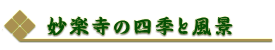 ���y���̎l�G�ƕ��i